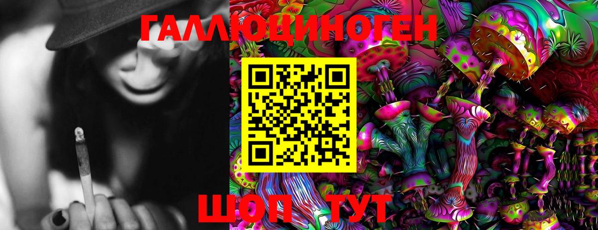 Псилоцибиновые грибы мицелий Калининград